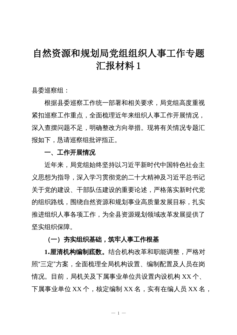 自然资源和规划局党组组织人事工作专题汇报材料1_第1页