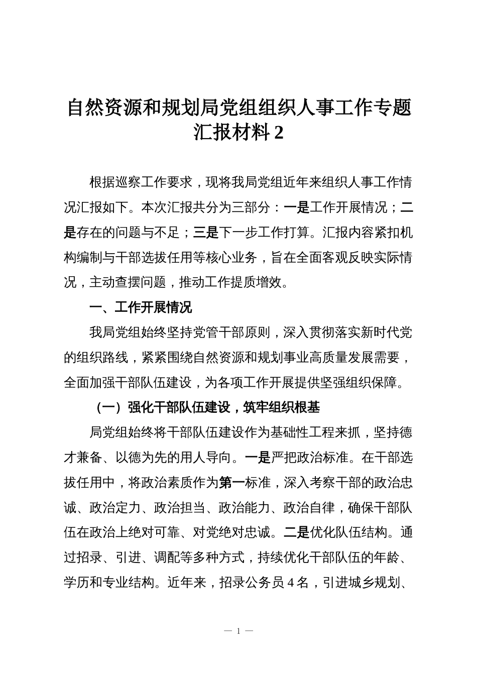自然资源和规划局党组组织人事工作专题汇报材料2_第1页