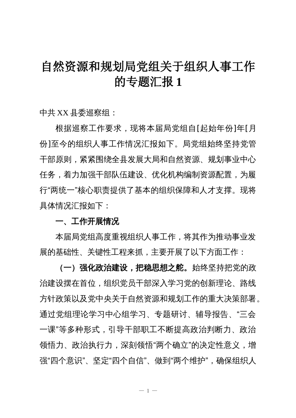 自然资源和规划局党组关于组织人事工作的专题汇报1_第1页