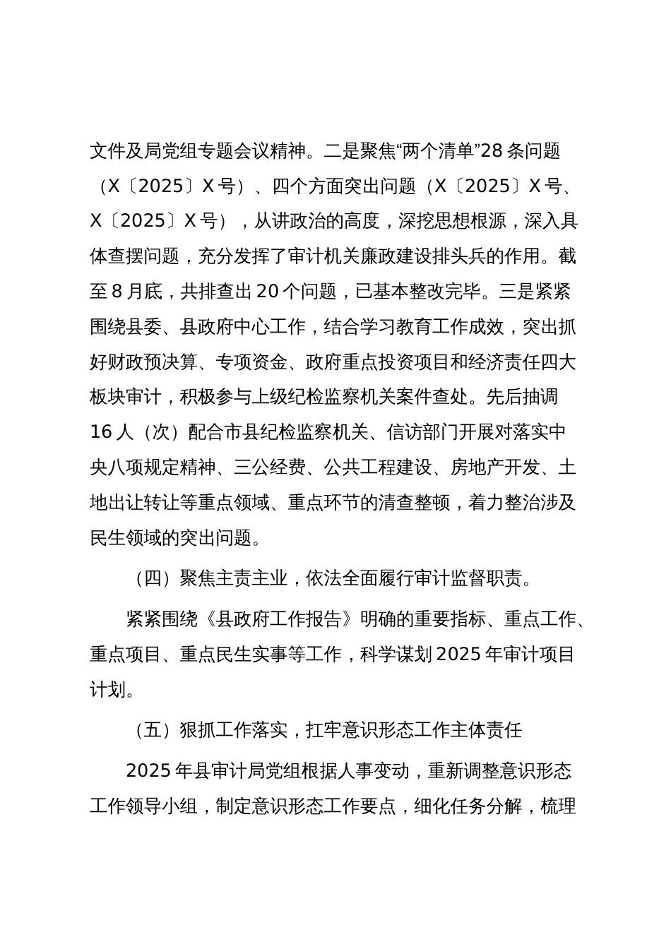 X县审计局2025年工作总结及2026年审计工作安排情况报告_第3页