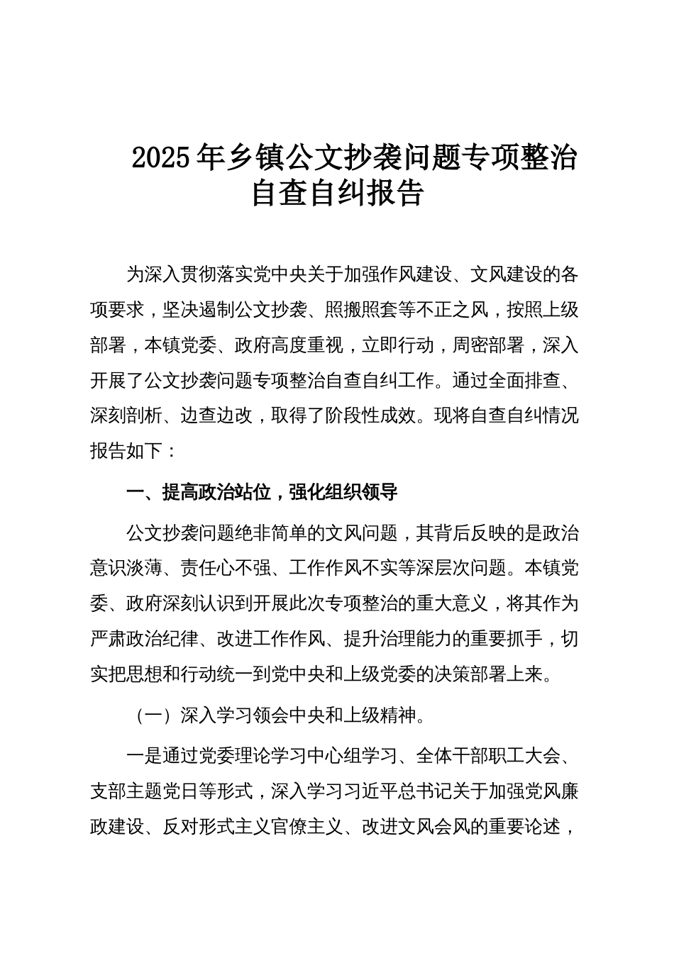 2025年乡镇公文抄袭问题专项整治自查自纠报告_第1页