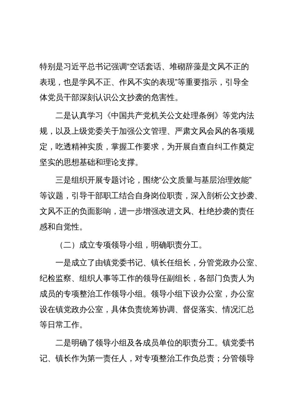 2025年乡镇公文抄袭问题专项整治自查自纠报告_第2页