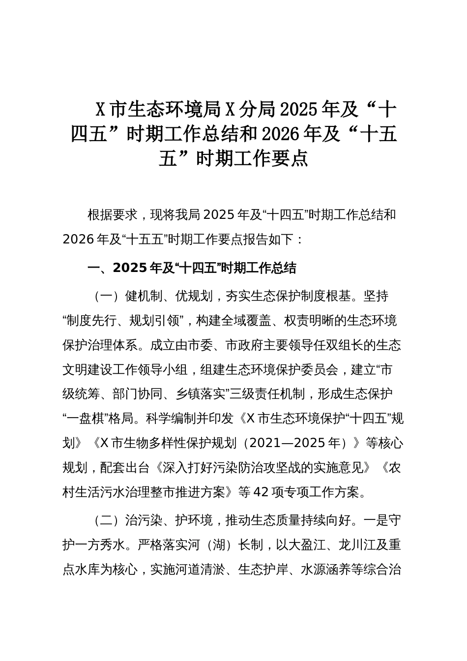 X市生态环境局X分局2025年及“十四五”时期工作总结和2026年及“十五五”时期工作要点_第1页