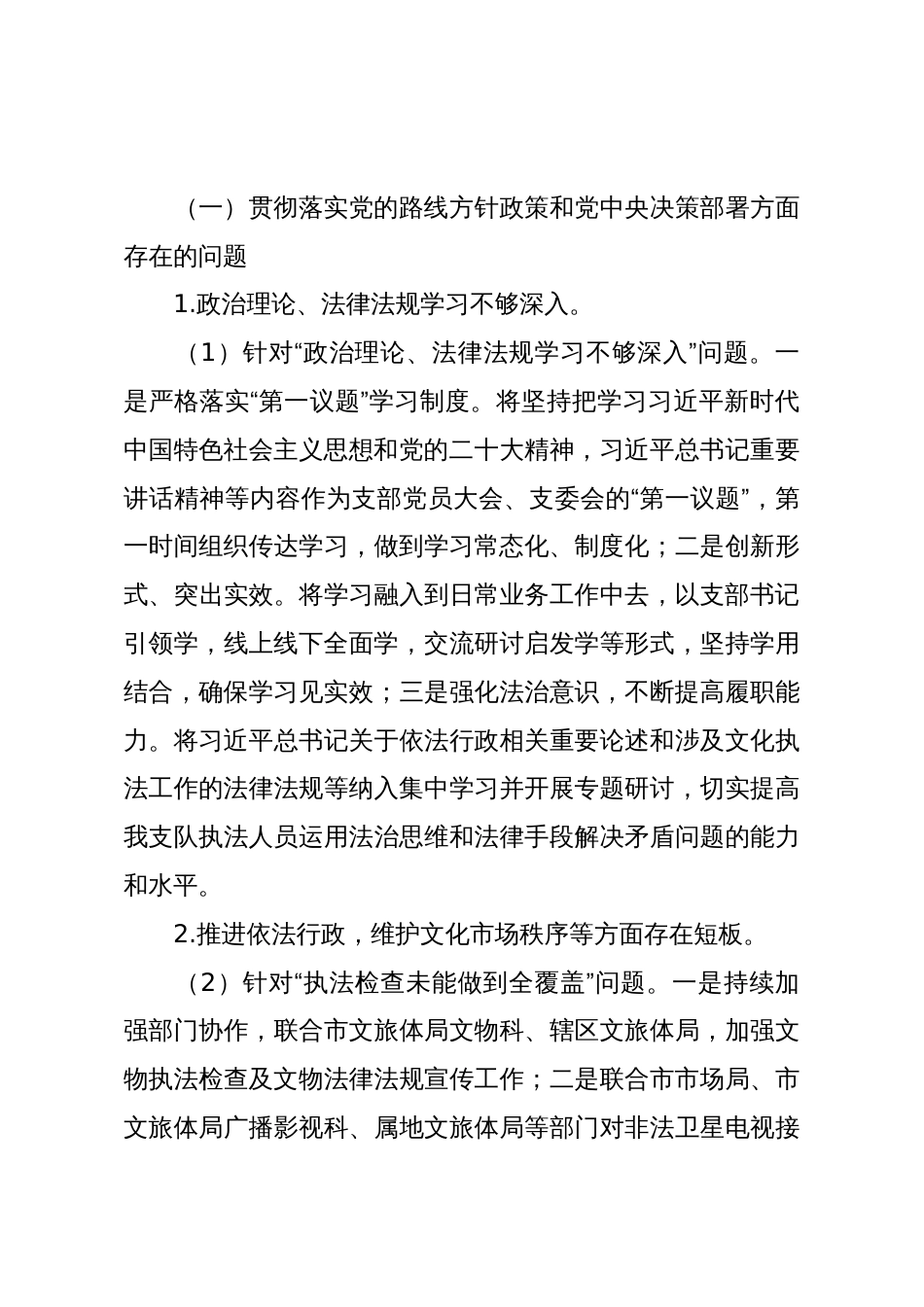 Xx市文化市场综合行政执法支队党支部关于巡察整改进展情况的通报_第3页
