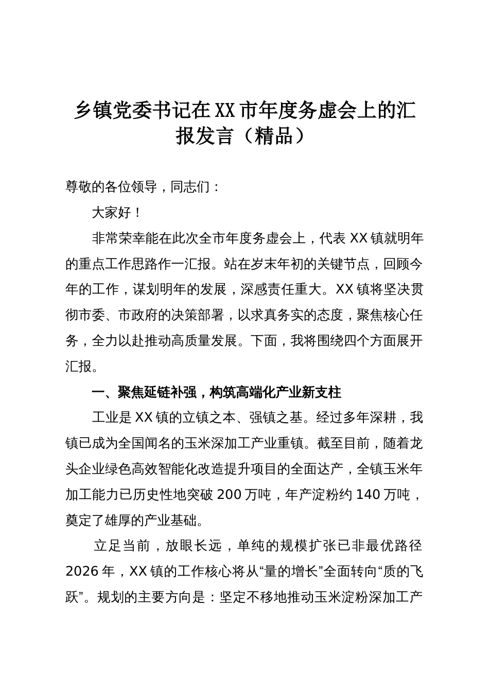 乡镇党委书记在XX市年度务虚会上的汇报发言(精品)_第1页