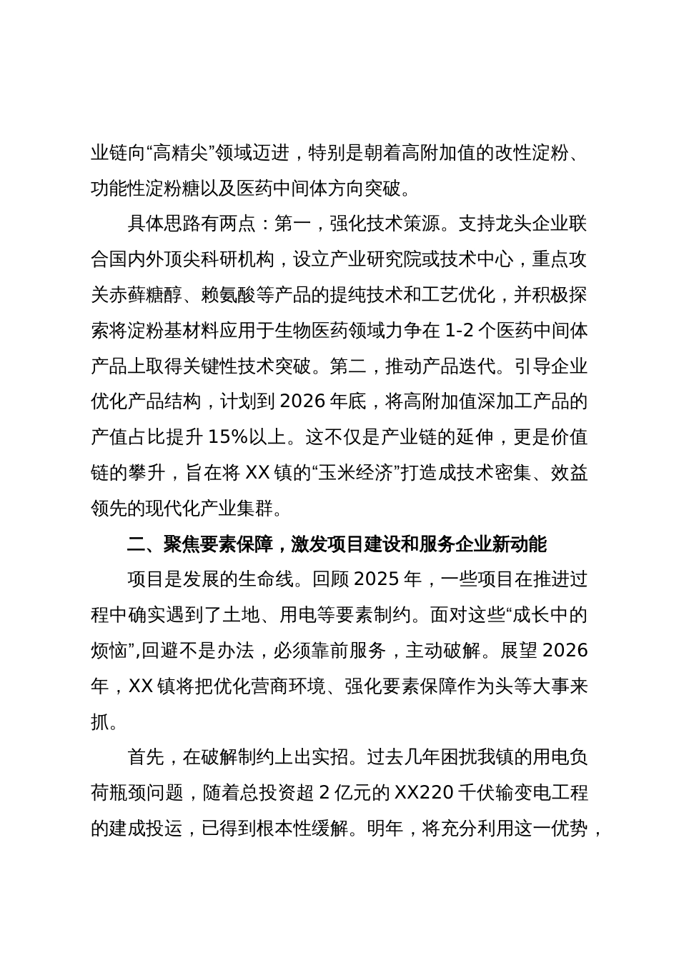 乡镇党委书记在XX市年度务虚会上的汇报发言(精品)_第2页