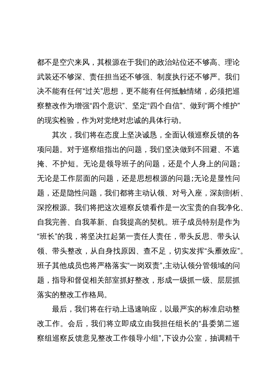 在县委第二巡察组巡察共青团XX县委员会情况反馈会议上的表态讲话_第3页