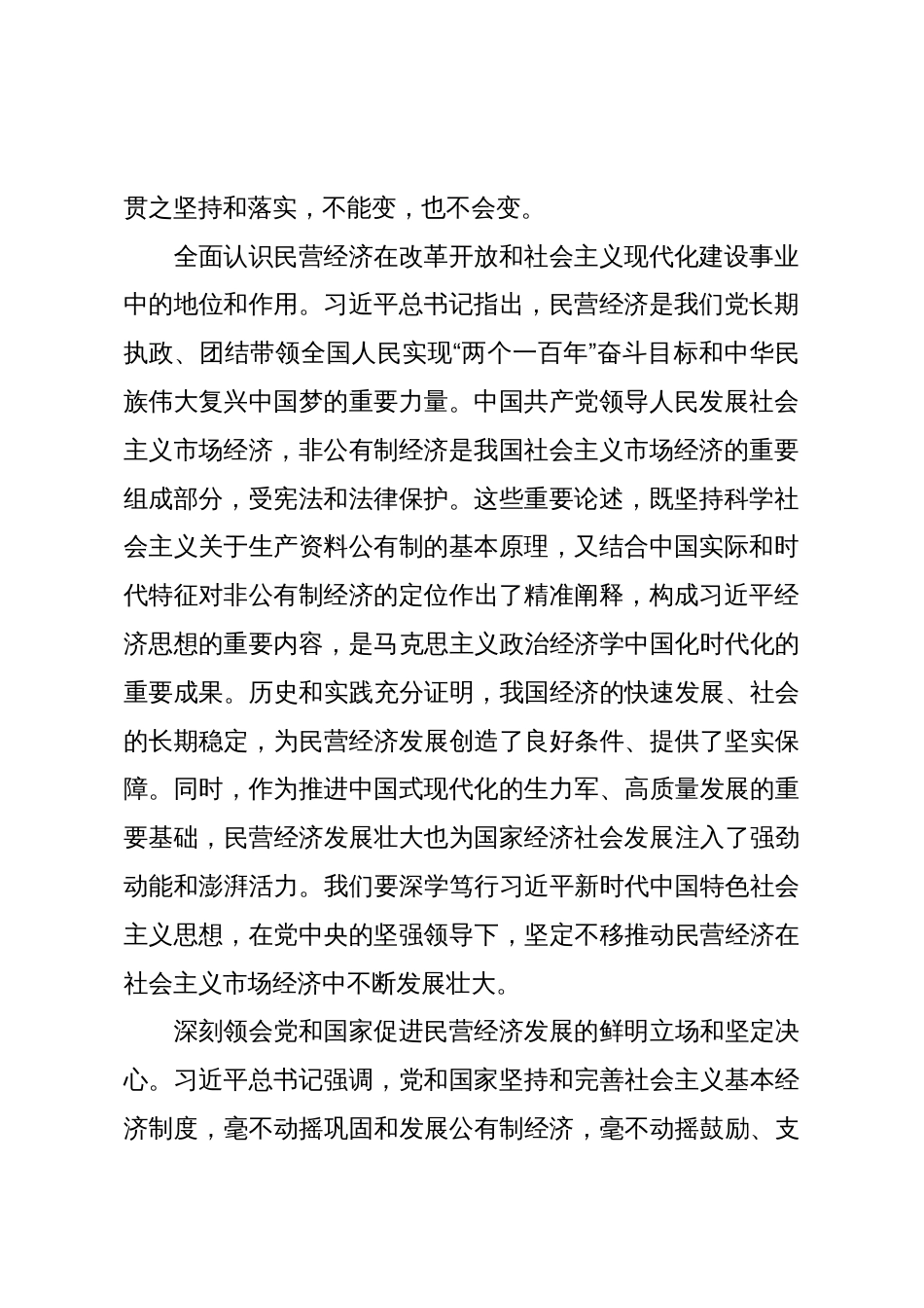 民营经济发展工作报告_第2页