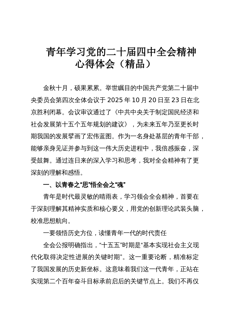 青年学习党的二十届四中全会精神心得体会(精品)_第1页