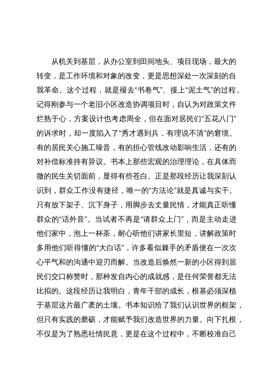 在2025年全区青年干部座谈会上的研讨发言_第2页