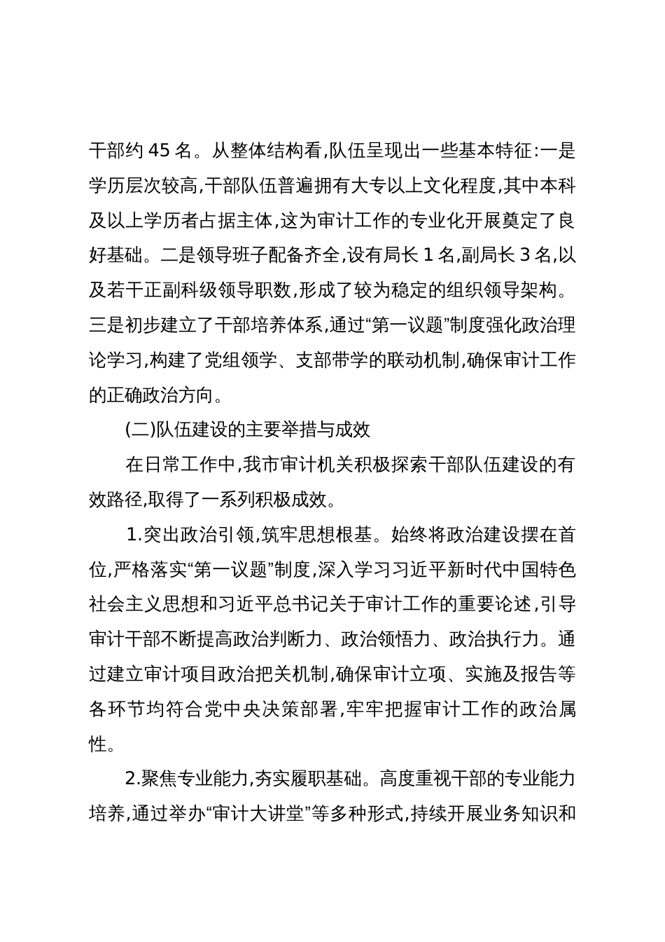 XX市审计局关于新时代审计干部队伍建设情况的调研报告(精品)_第2页